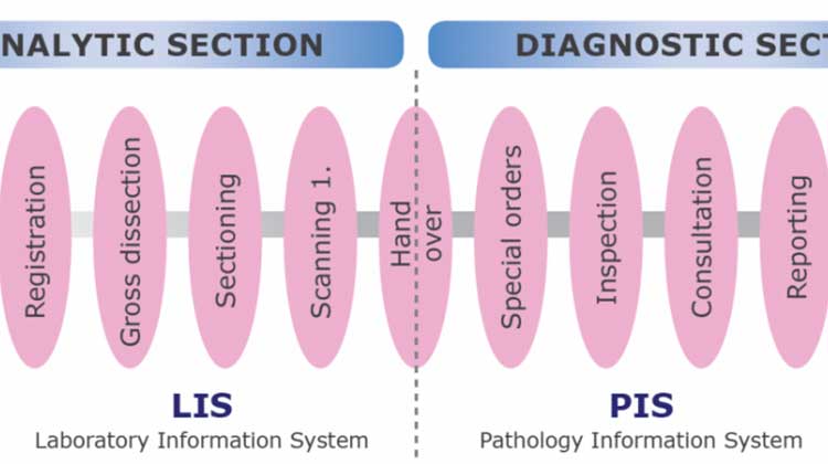 CaseManager patholofy information system